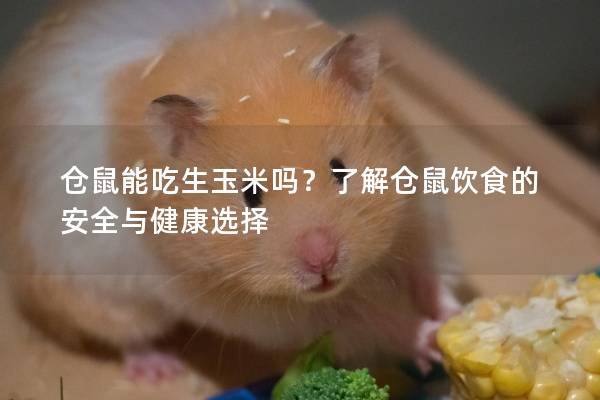 仓鼠能吃生玉米吗?了解仓鼠饮食的安全与健康选择 仓鼠能吃生玉米吗?了解仓鼠饮食的安全与健康选择