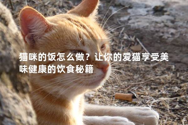 猫咪的饭怎么做？让你的爱猫享受美味健康的饮食秘籍