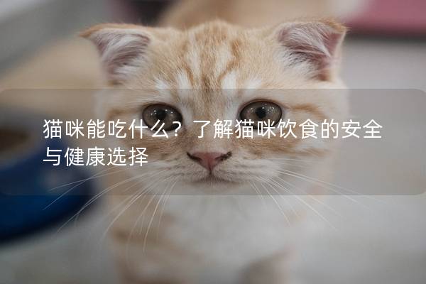 猫咪能吃什么？了解猫咪饮食的安全与健康选择