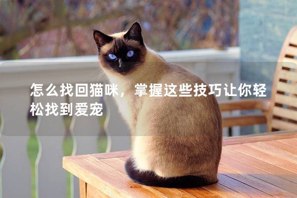 怎么找回猫咪，掌握这些技巧让你轻松找到爱宠