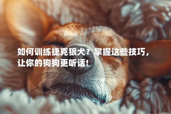 如何训练捷克狼犬?掌握这些技巧,让你的狗狗更听话! 如何训练捷克狼犬?掌握这些技巧,让你的狗狗更听话!