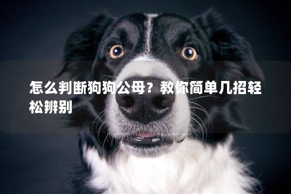 怎么判断狗狗公母？教你简单几招轻松辨别