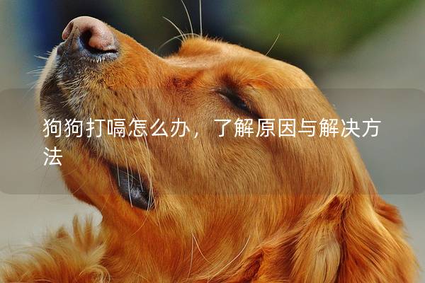 狗狗打嗝怎么办,了解原因与解决方法 狗狗打嗝怎么办,了解原因与解决方法