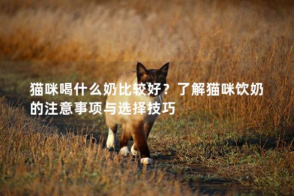 猫咪喝什么奶比较好？了解猫咪饮奶的注意事项与选择技巧