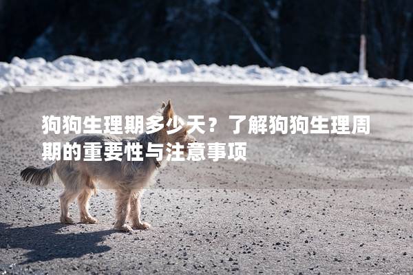 狗狗生理期多少天？了解狗狗生理周期的重要性与注意事项
