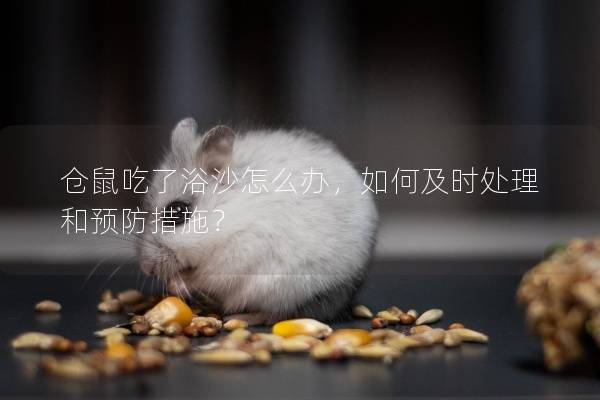 仓鼠吃了浴沙怎么办，如何及时处理和预防措施？