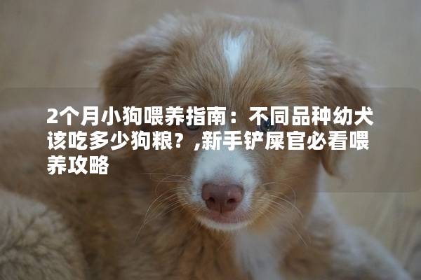 2个月小狗喂养指南:不同品种幼犬该吃多少狗粮?,新手铲屎官必看喂养攻略 2个月小狗喂养指南:不同品种幼犬该吃多少狗粮?,新手铲屎官必看喂养攻略