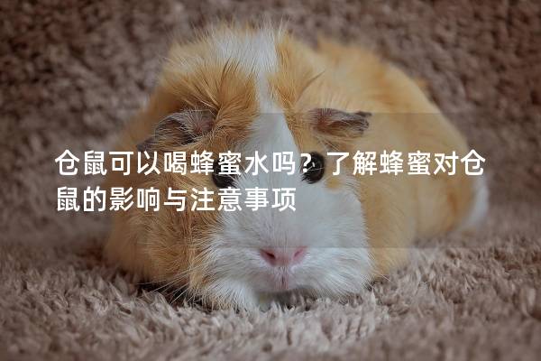 仓鼠可以喝蜂蜜水吗?了解蜂蜜对仓鼠的影响与注意事项 仓鼠可以喝蜂蜜水吗?了解蜂蜜对仓鼠的影响与注意事项