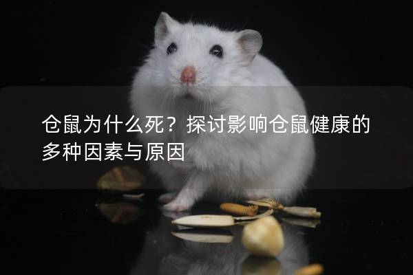 仓鼠为什么死？探讨影响仓鼠健康的多种因素与原因