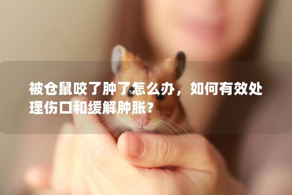 被仓鼠咬了肿了怎么办，如何有效处理伤口和缓解肿胀？