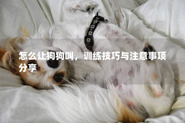 怎么让狗狗叫,训练技巧与注意事项分享 怎么让狗狗叫,训练技巧与注意事项分享