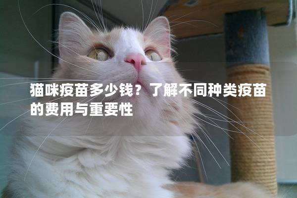 猫咪疫苗多少钱？了解不同种类疫苗的费用与重要性