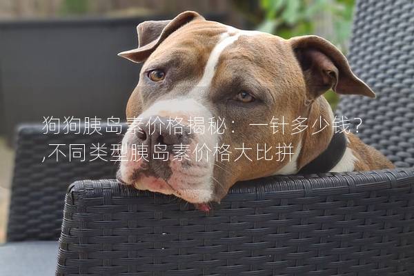 狗狗胰岛素价格揭秘：一针多少钱？,不同类型胰岛素价格大比拼