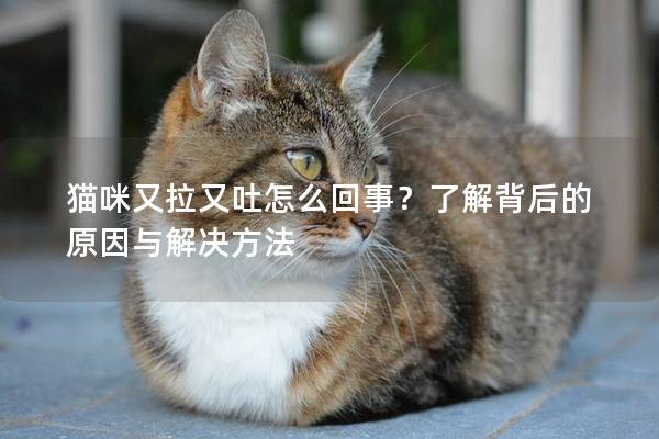 猫咪又拉又吐怎么回事？了解背后的原因与解决方法