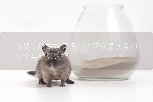 仓鼠能吃姑娘果吗？了解仓鼠饮食的安全与健康选择