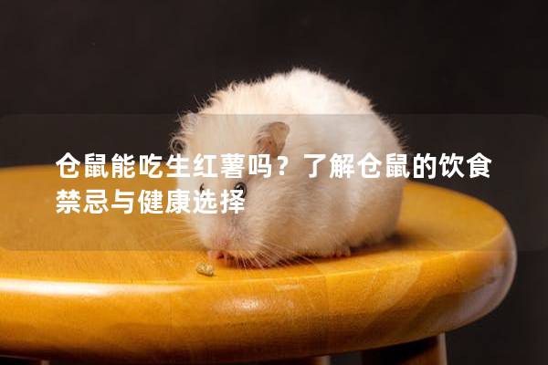 仓鼠能吃生红薯吗？了解仓鼠的饮食禁忌与健康选择