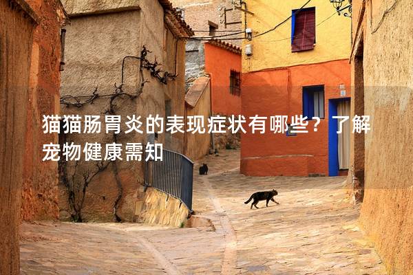 猫猫肠胃炎的表现症状有哪些？了解宠物健康需知