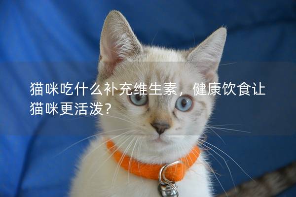 猫咪吃什么补充维生素，健康饮食让猫咪更活泼？