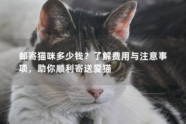 邮寄猫咪多少钱？了解费用与注意事项，助你顺利寄送爱猫