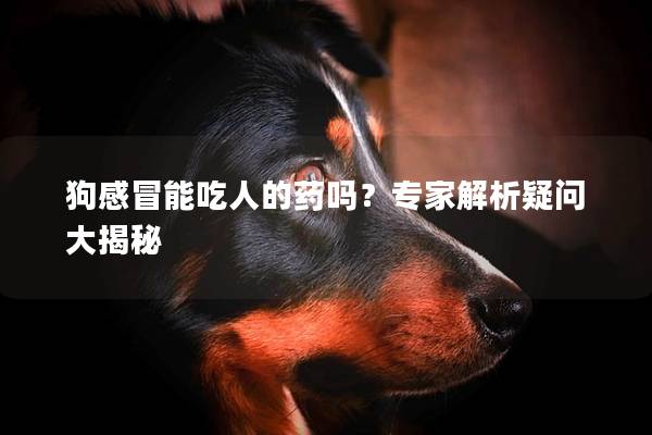 狗感冒能吃人的药吗？专家解析疑问大揭秘
