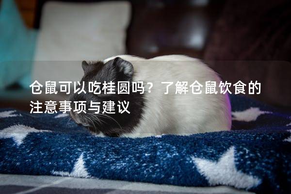 仓鼠可以吃桂圆吗？了解仓鼠饮食的注意事项与建议