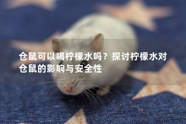 仓鼠可以喝柠檬水吗？探讨柠檬水对仓鼠的影响与安全性