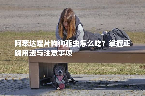 阿苯达唑片狗狗驱虫怎么吃？掌握正确用法与注意事项