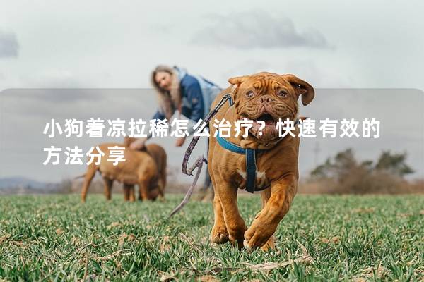 小狗着凉拉稀怎么治疗？快速有效的方法分享