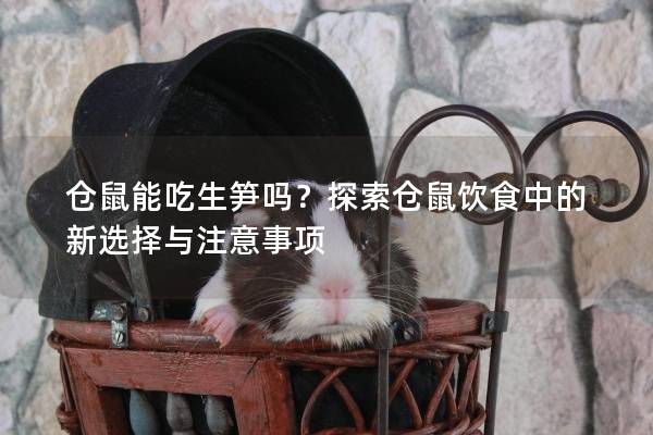 仓鼠能吃生笋吗？探索仓鼠饮食中的新选择与注意事项