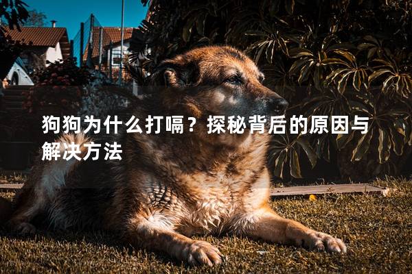 狗狗为什么打嗝?探秘背后的原因与解决方法 狗狗为什么打嗝?探秘背后的原因与解决方法