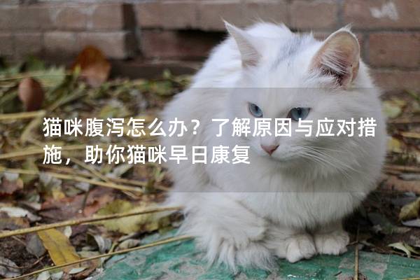 猫咪腹泻怎么办？了解原因与应对措施，助你猫咪早日康复