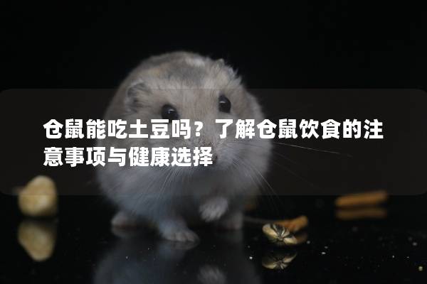仓鼠能吃土豆吗？了解仓鼠饮食的注意事项与健康选择