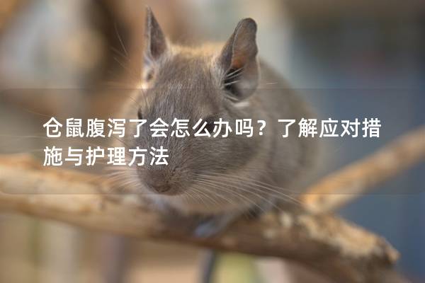 仓鼠腹泻了会怎么办吗？了解应对措施与护理方法