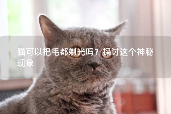 猫可以把毛都剃光吗？探讨这个神秘现象