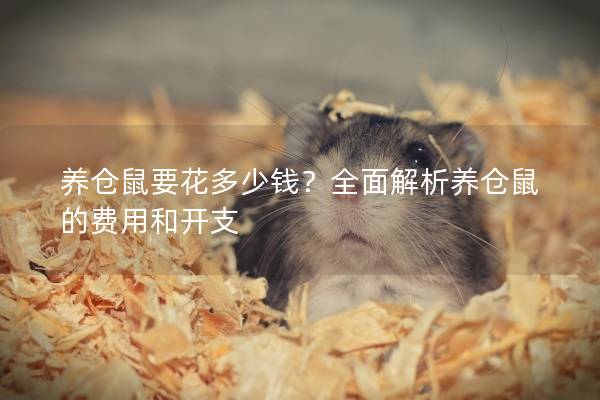 养仓鼠要花多少钱？全面解析养仓鼠的费用和开支