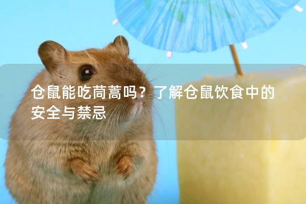 仓鼠能吃茼蒿吗？了解仓鼠饮食中的安全与禁忌
