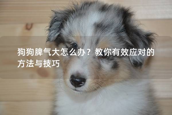 狗狗脾气大怎么办？教你有效应对的方法与技巧