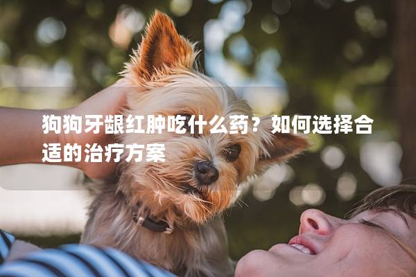 狗狗牙龈红肿吃什么药？如何选择合适的治疗方案