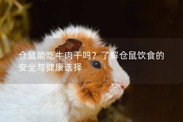 仓鼠能吃牛肉干吗?了解仓鼠饮食的安全与健康选择 仓鼠能吃牛肉干吗?了解仓鼠饮食的安全与健康选择