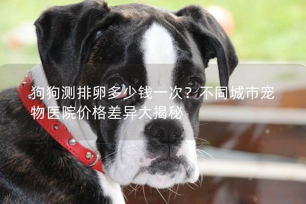 狗狗测排卵多少钱一次？不同城市宠物医院价格差异大揭秘
