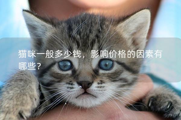 猫咪一般多少钱,影响价格的因素有哪些? 猫咪一般多少钱,影响价格的因素有哪些?