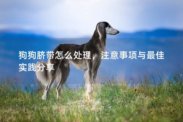 狗狗脐带怎么处理，注意事项与最佳实践分享