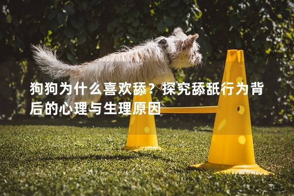 狗狗为什么喜欢舔？探究舔舐行为背后的心理与生理原因