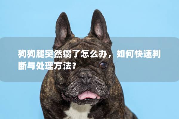 狗狗腿突然瘸了怎么办，如何快速判断与处理方法？