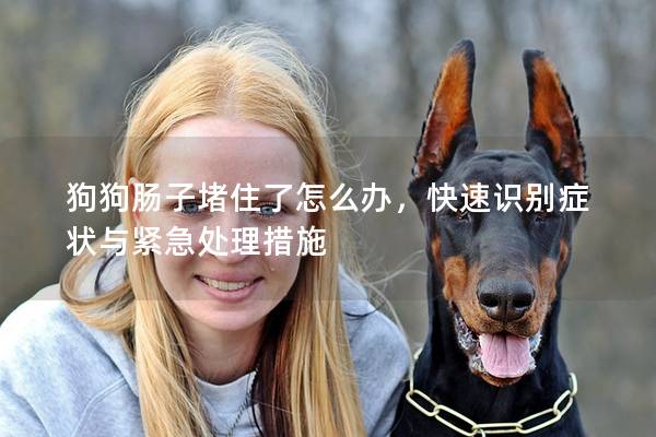 狗狗肠子堵住了怎么办，快速识别症状与紧急处理措施