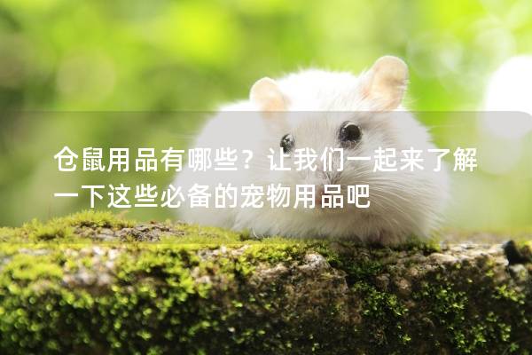 仓鼠用品有哪些？让我们一起来了解一下这些必备的宠物用品吧