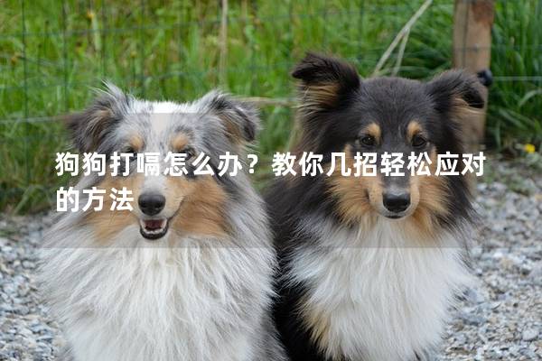 狗狗打嗝怎么办？教你几招轻松应对的方法