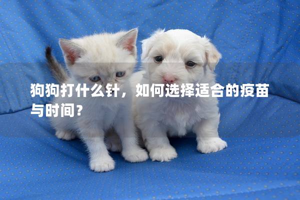 狗狗打什么针,如何选择适合的疫苗与时间? 狗狗打什么针,如何选择适合的疫苗与时间?