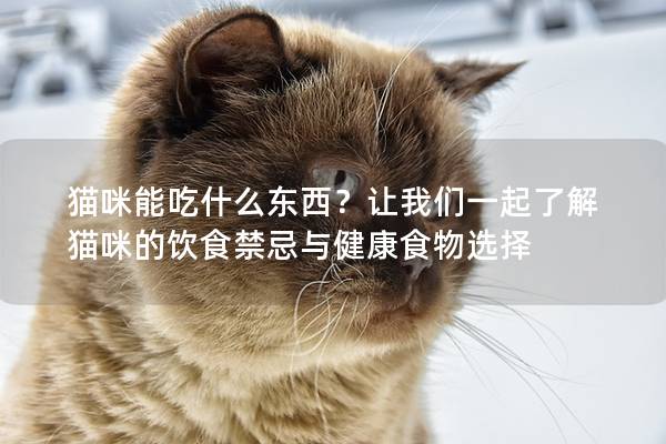 猫咪能吃什么东西？让我们一起了解猫咪的饮食禁忌与健康食物选择