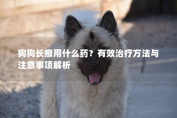 狗狗长癣用什么药？有效治疗方法与注意事项解析